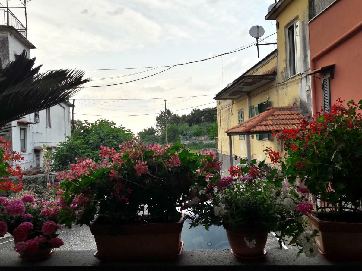 La Caldera Del Vesuvio Bed and Breakfast Ercolano Exteriör bild